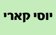 יוסי קארי - מוסכים